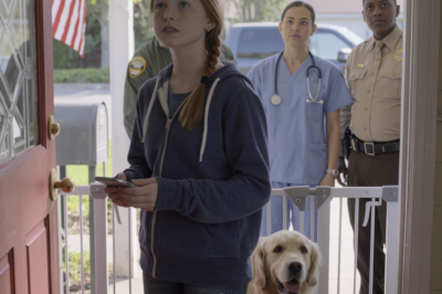 “No need for medicine, just let it heal naturally,” my parents declared, snatching the bottle of medicine from my hand… but our 12-year-old golden retriever grew weaker and weaker, then began pacing back and forth, staring, growling as if he didn’t know anyone. I filmed his unusual behavior and sought help from my teacher at school. Two days later, an officer, a veterinarian, and a deputy police chief knocked on my door with a search warrant… but some things couldn’t be changed.